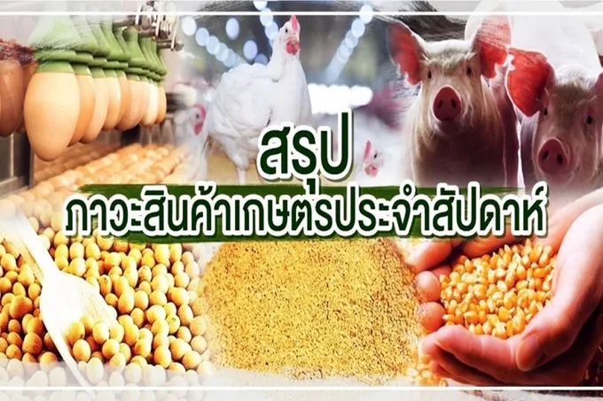 สรุปภาวะสินค้าเกษตรประจำสัปดาห์ วันที่ 11-15 กันยายน 2566