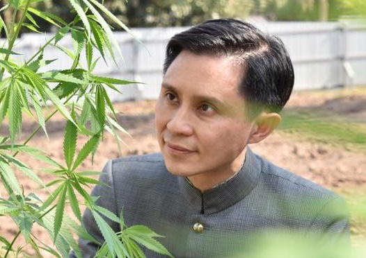 "ปานเทพ" เปิดตัวเลขผลการศึกษา "กัญชามายาบ้าหมด"