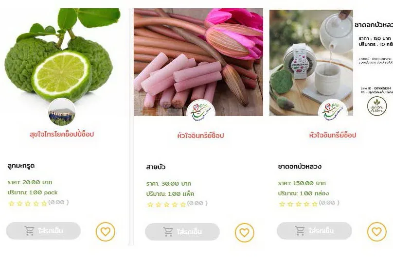 ให้ประสบการณ์เหมือนไปจ่ายตลาดจริง