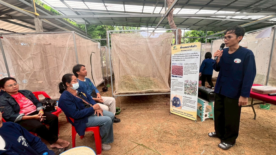 สำนักงานเกษตรคำเขื่อนแก้ว จัดอบรมเกษตรกร เรียนรู้เลี้ยงตั๊กแตน-เพิ่มมูลค่าผลผลิต