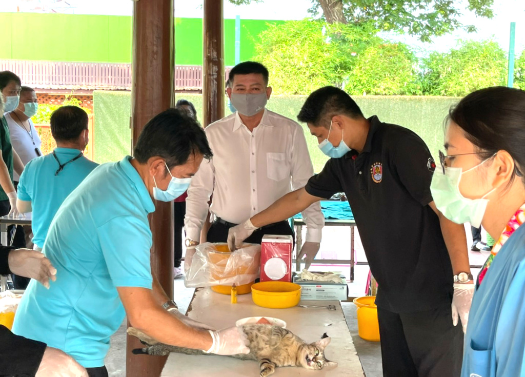 "สิระ" เปิดบ้านทรงไทยทำหมันหมา-แมว ฟรี! ชี้คนกับสัตว์อยู่ร่วมกันได้