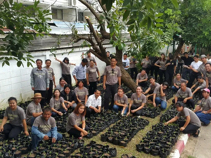 สำนักงานสหกรณ์จังหวัดมหาสารคาม ร่วมใจปลูกดาวเรือง รำลึกพระมหากรุณาธิคุณ ในหลวง ร.9