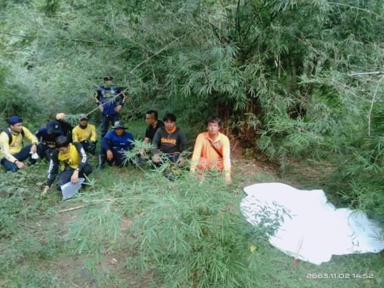 อนาถ​ หญิงชราถูกช้างป่ากระทืบเสียชีวิตขณะหาเห็ดโคนและของป่าที่กาญจน์      