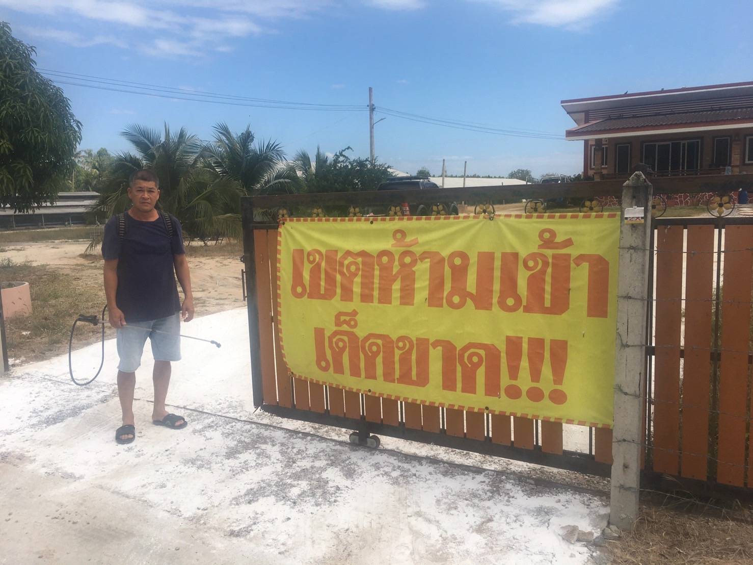 เจ้าของฟาร์มหมูประจวบฯคุมเข้มโซนนิ่งป้องกัน ASF  หลังราคาหน้าฟาร์มพุ่ง กก.ละ 110 บาท