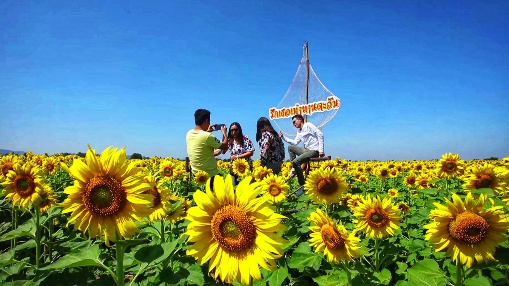 ททท.ลพบุรี ปักหมุด ทุ่งทานตะวันบานแปลงใหญ่ ขับเคลื่อนนโยบาย เราเที่ยวด้วยกัน 