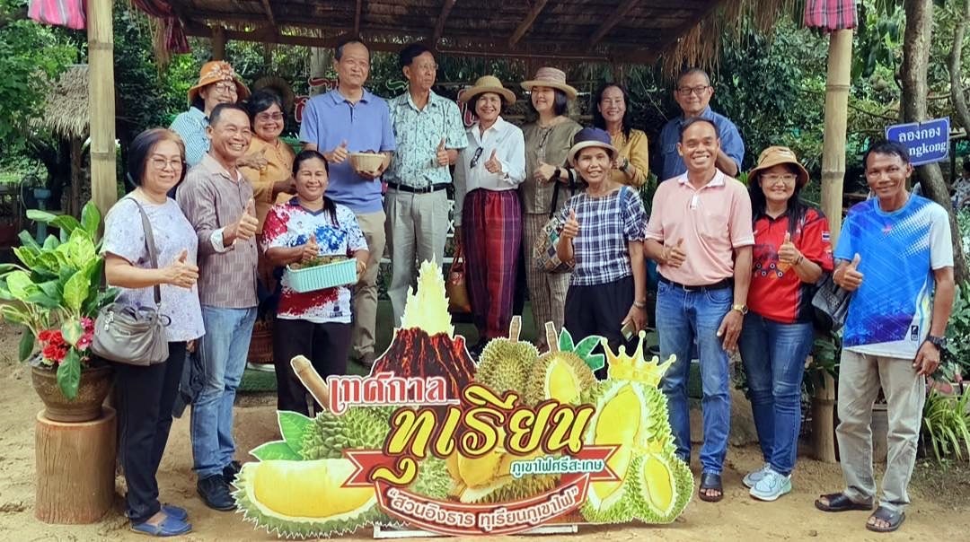 สวนทุเรียนภูเขาไฟศรีสะเกษยอดขายทะลุเป้า นทท.หลั่งไหลเข้าสวน แม้ราคาพุ่ง กก. 250 บาท 