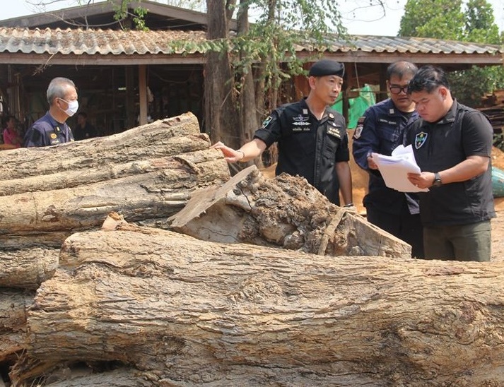 "ชุดพยัคฆ์ไพร"สนธิกำลังตรวจสอบโรงงานแปรรูปไม้ อ.เมือง จ.สระบุรี