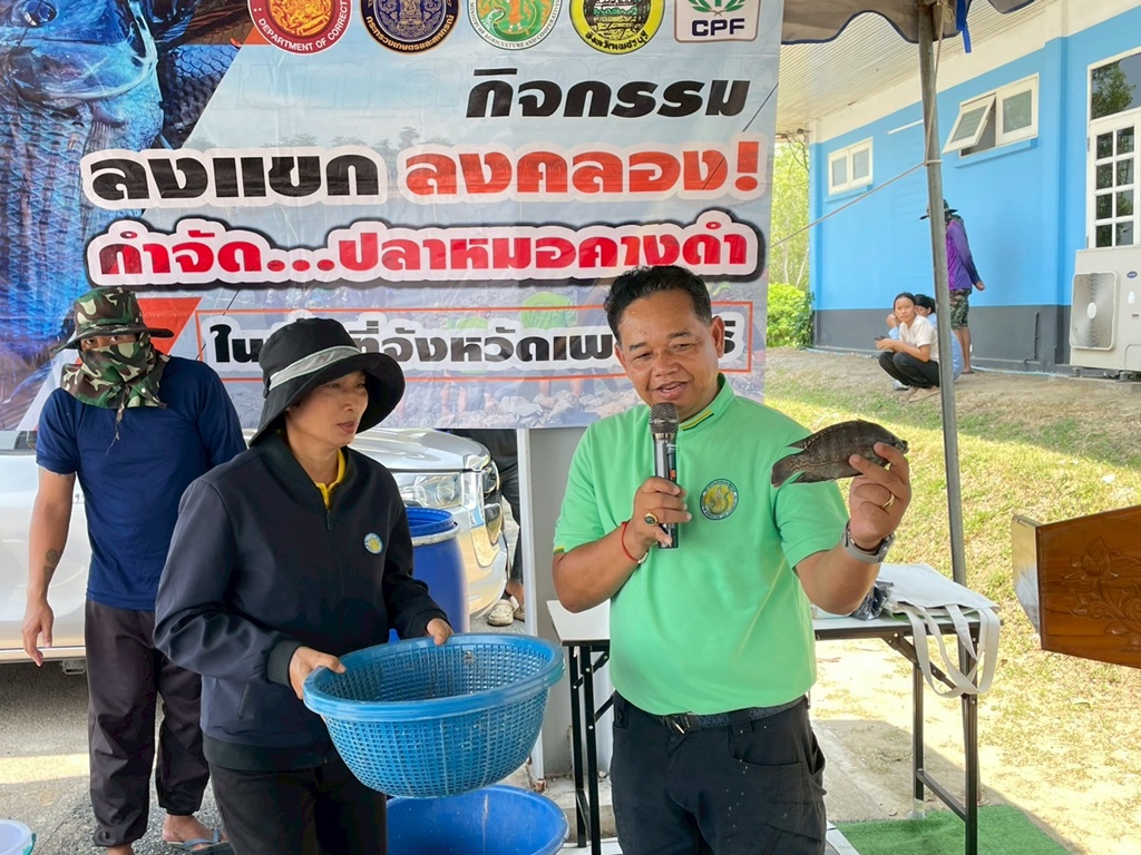 เกษตรกรชี้ “ปลาหมอคางดำ” คือโอกาส… พลังของชาวบ้านช่วยปราบปลาหมอคางดำ