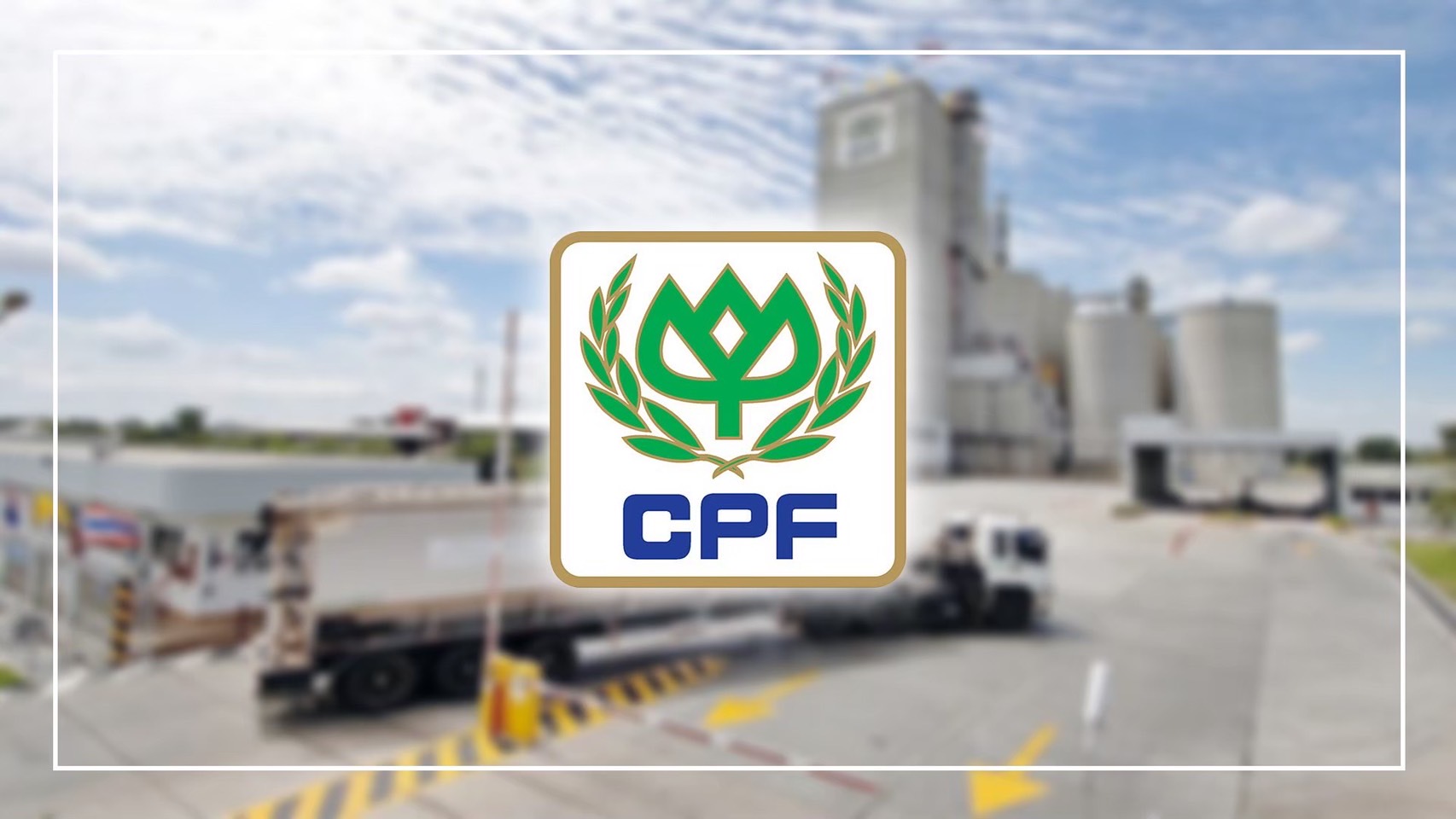 ต้นทุนวัตถุดิบอาหารสัตว์และราคาสุกรในภูมิภาคกดดันผลประกอบการ CPF