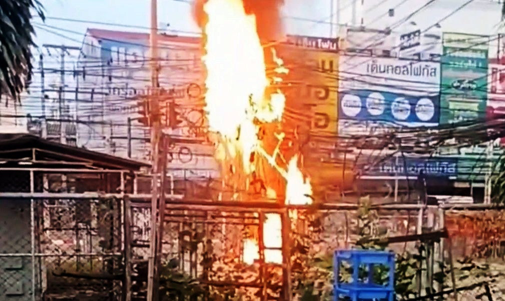 ไฟดับยกซอย!! กระรอกปีนเสาไฟ ทำไฟฟ้าลัดวงจรเพลิงไหม้ลุกท่วม 