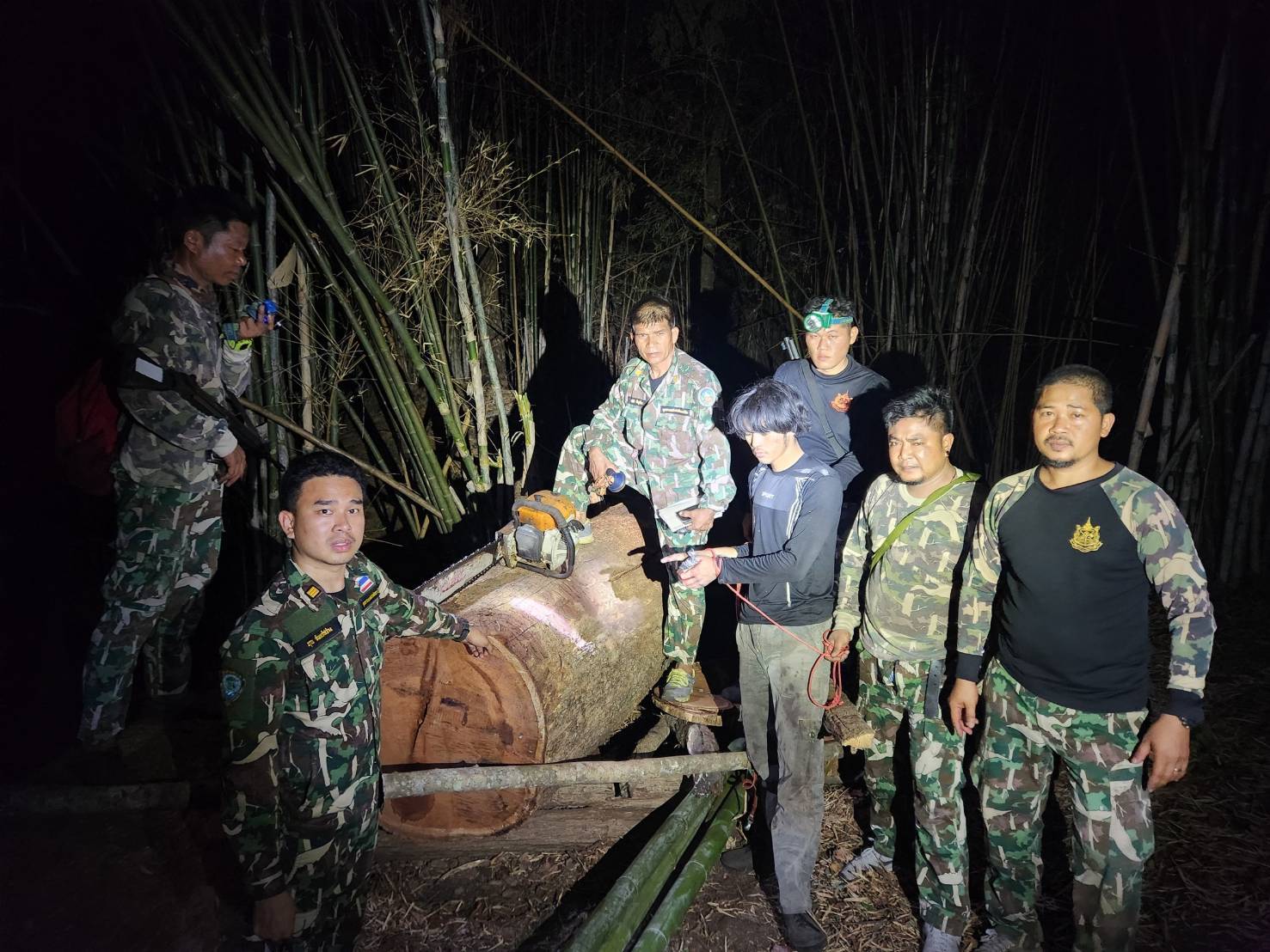   จับมือเลื่อยยนต์พร้อมของกลางตัดทอนไม้ประดู่ยักษ์ขนาด2 คนโอบกลางอุทยานแห่งชาติเอราวัณ