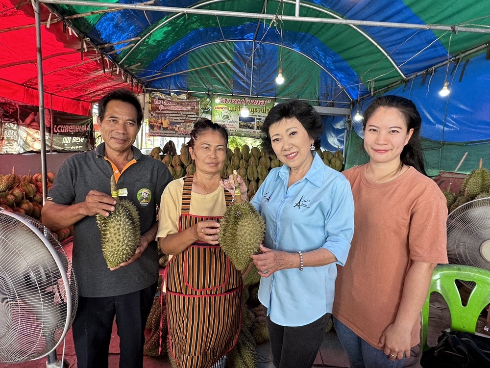 ด่วน!! ช้าหมด อดชิมทุเรียนภูเขาไฟศรีสะเกษ ตัดทุเรียนรุ่นสุดท้าย 5 ส.ค.นี้ 