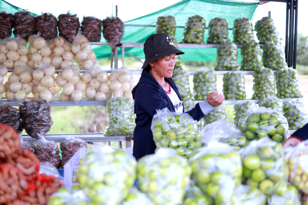 เปิดตลาดพุทรานมสดบ้านโพน "คำม่วง" ตั้งเป้ายอดขาย 100 ล้านบาท