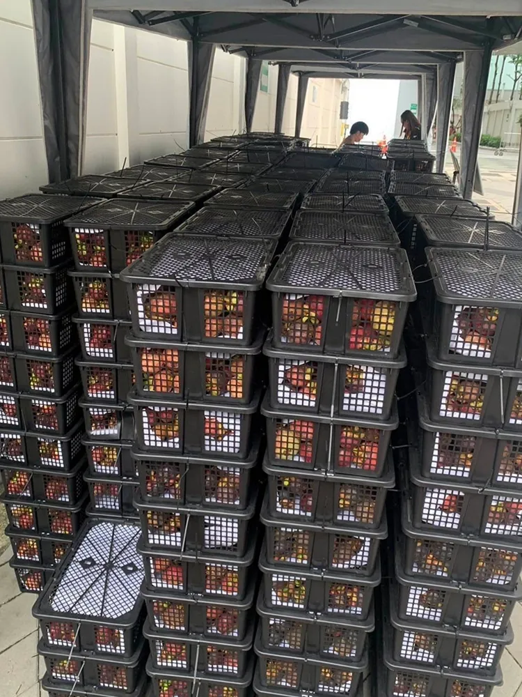 9 ภาพปรพกอบข่าว
