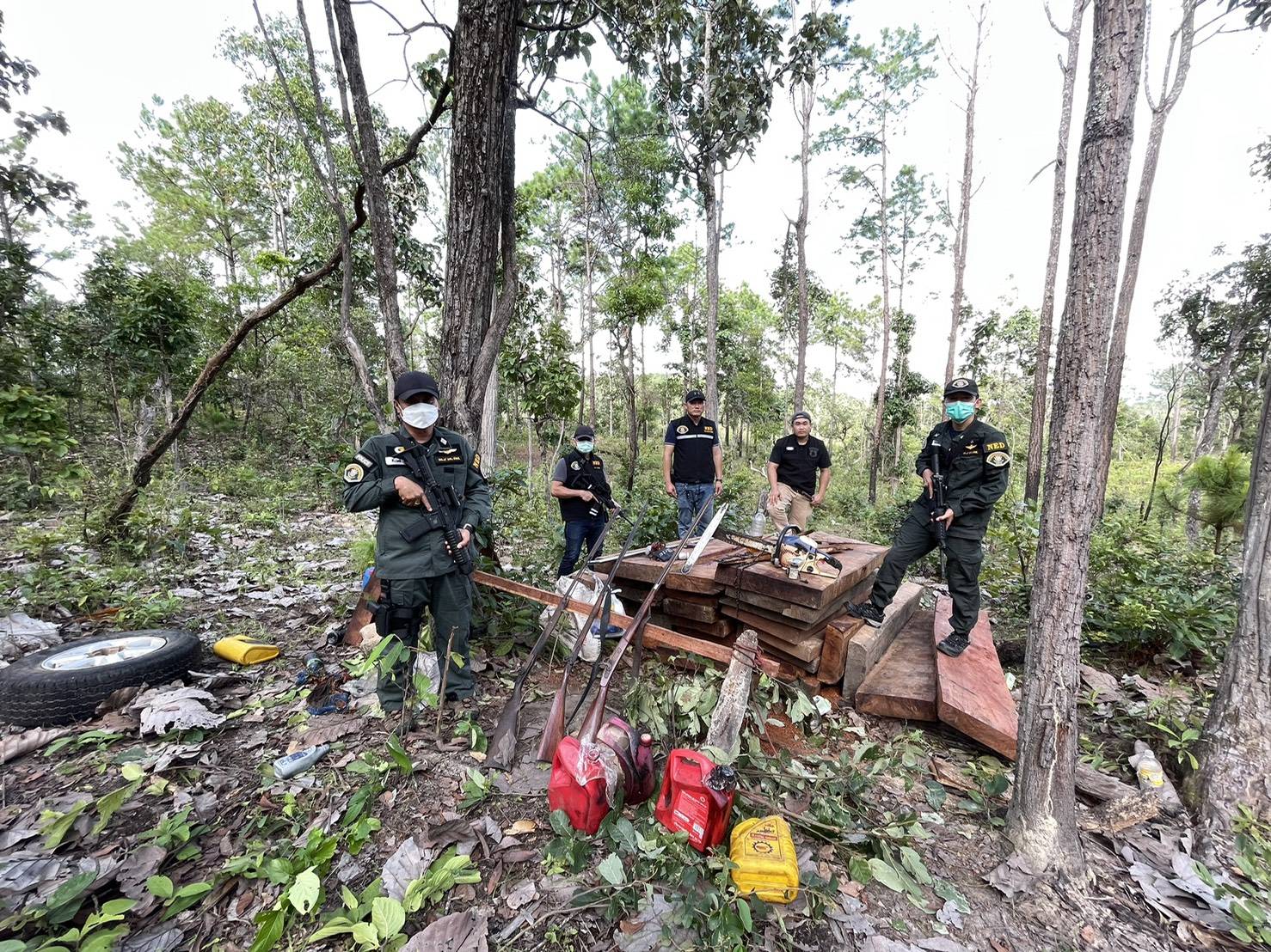 เชียงใหม่ สนธิกำลังยึดไม้เถื่อนบุกรุกป่าต้นน้ำปิงพร้อมขยายผลปืนเถื่อน ยาเสพติด