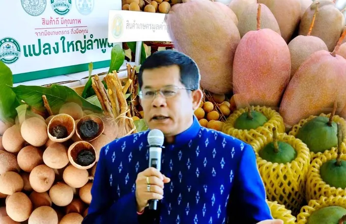 กสก. โชว์ผลงานแก้ปัญหาสินค้าเกษตร “ลำไย-มะม่วง จ.ลำพูน” ผลิตเน้นคุณภาพ 