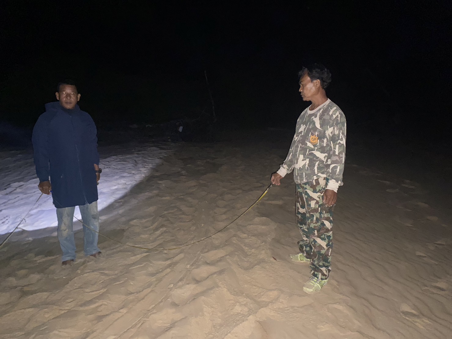 หาดท้ายเหมืองพบร่องรอยแม่เต่ามะเฟืองวางไข่ต้อนรับตรุษจีน