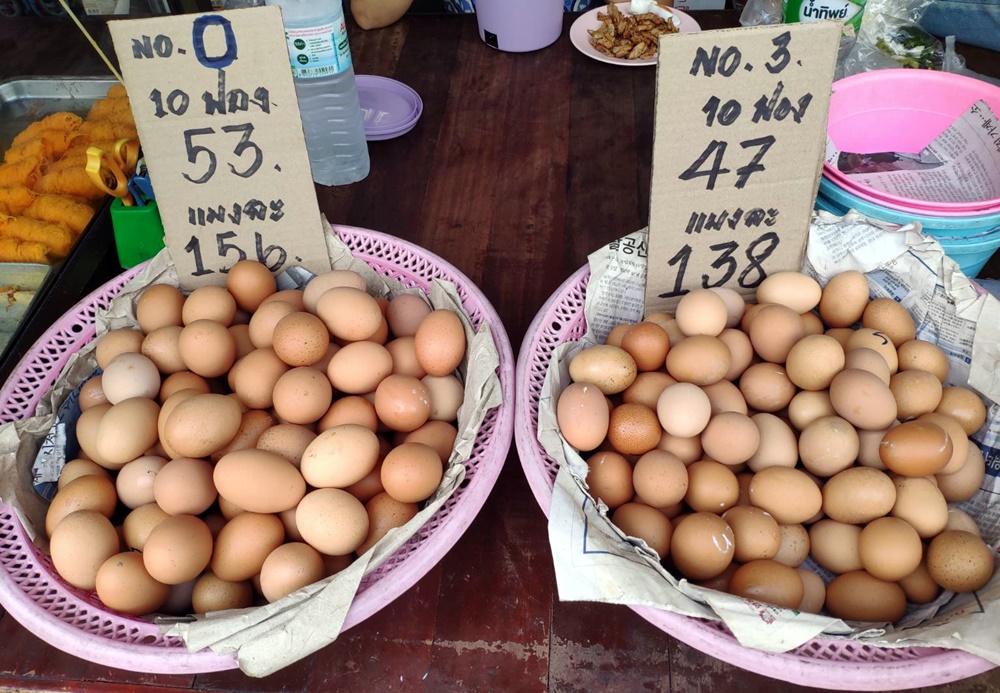 "ไข่ไก่ไทย" โปรตีนชั้นดีไม่เคยขาดแคลน ราคาไม่แพงอย่างที่คิด