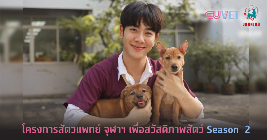 โครงการสัตวแพทย์ จุฬาฯ เพื่อสวัสดิภาพสัตว์จรจัด Season 2