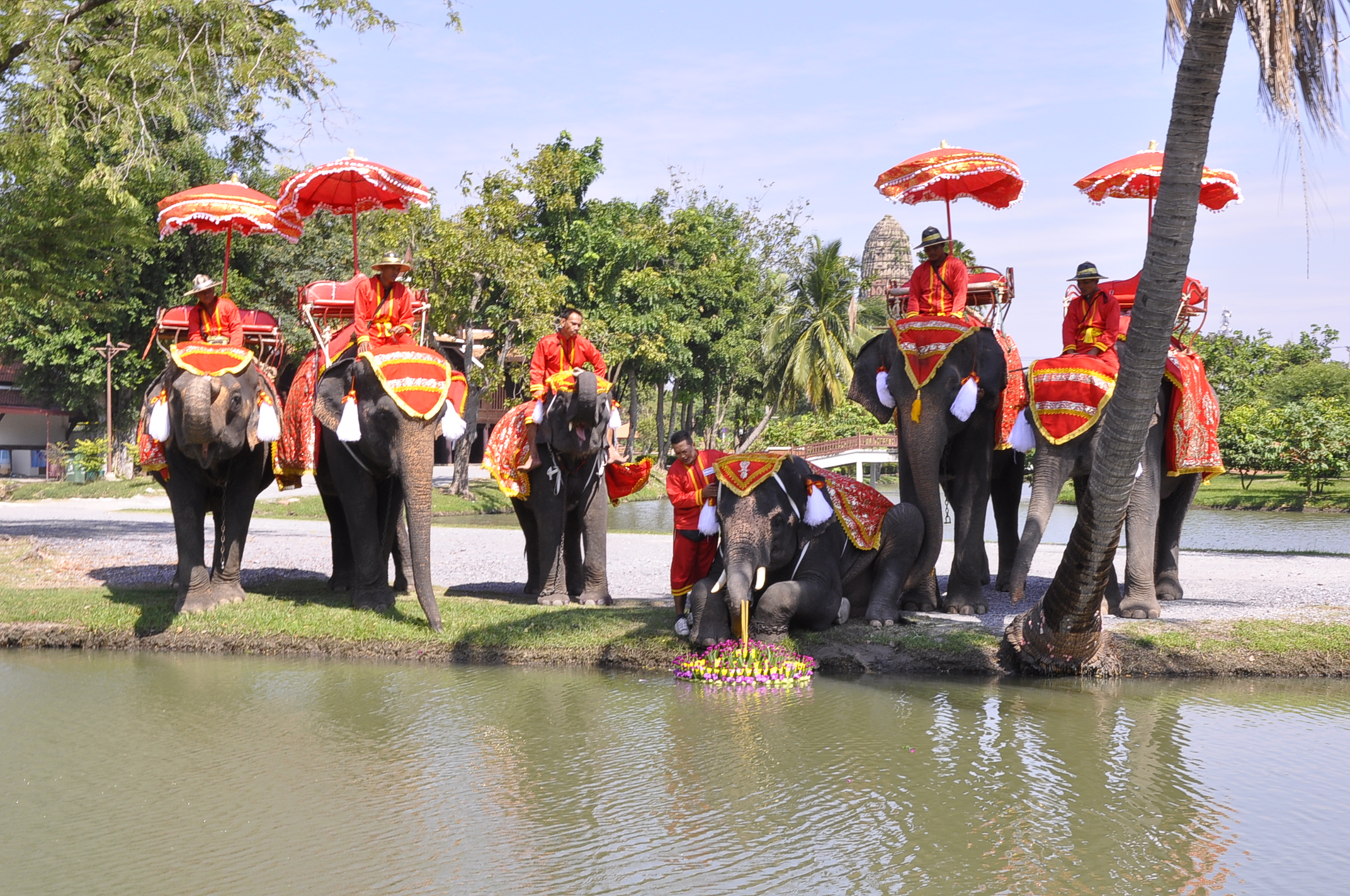 วังช้างอยุธยา นำช้างแสนรู้ลอยกระทงอนุรักษ์สืบสานประเพณี