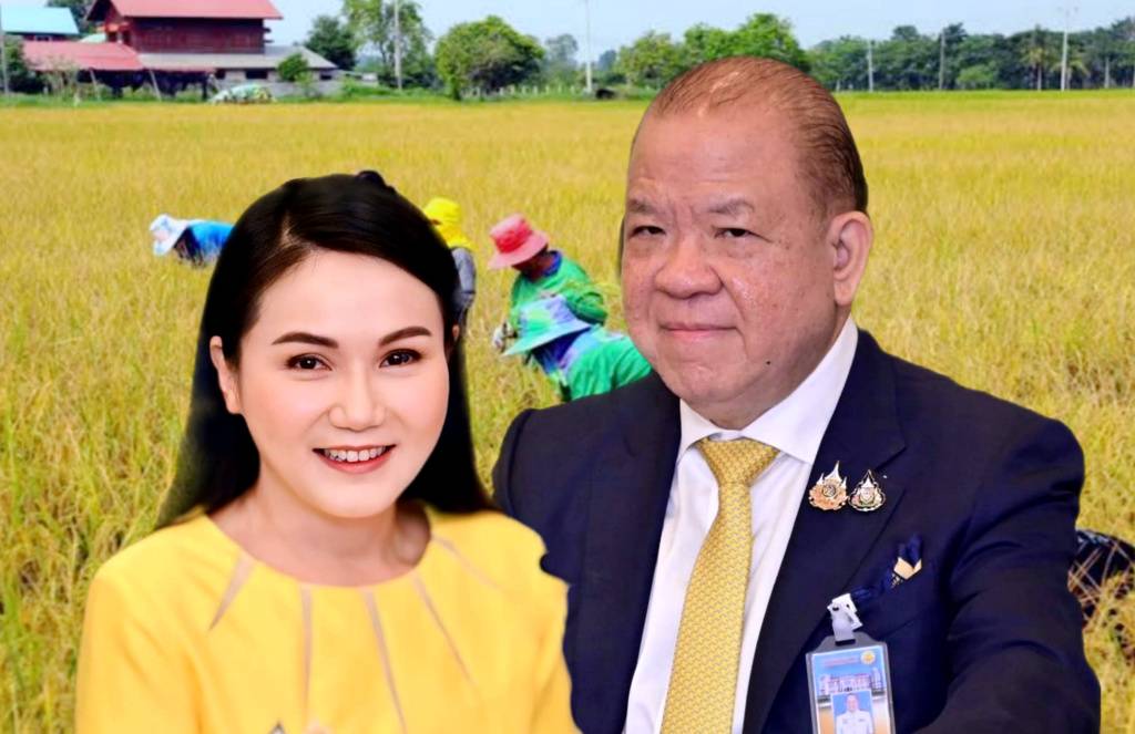 ชาวนาเฮ! นบข. ไฟเขียวช่วยไร่ละ 1,000 ครัวเรือนละไม่เกิน 10 ไร่