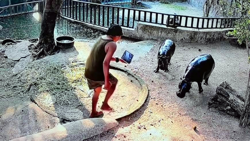 ศาลปรับ 1 หมื่น หนุ่มปีนบ่อ “หมูเด้ง” เขาเขียว ย้ำโทษบุกรุกพื้นที่สัตว์