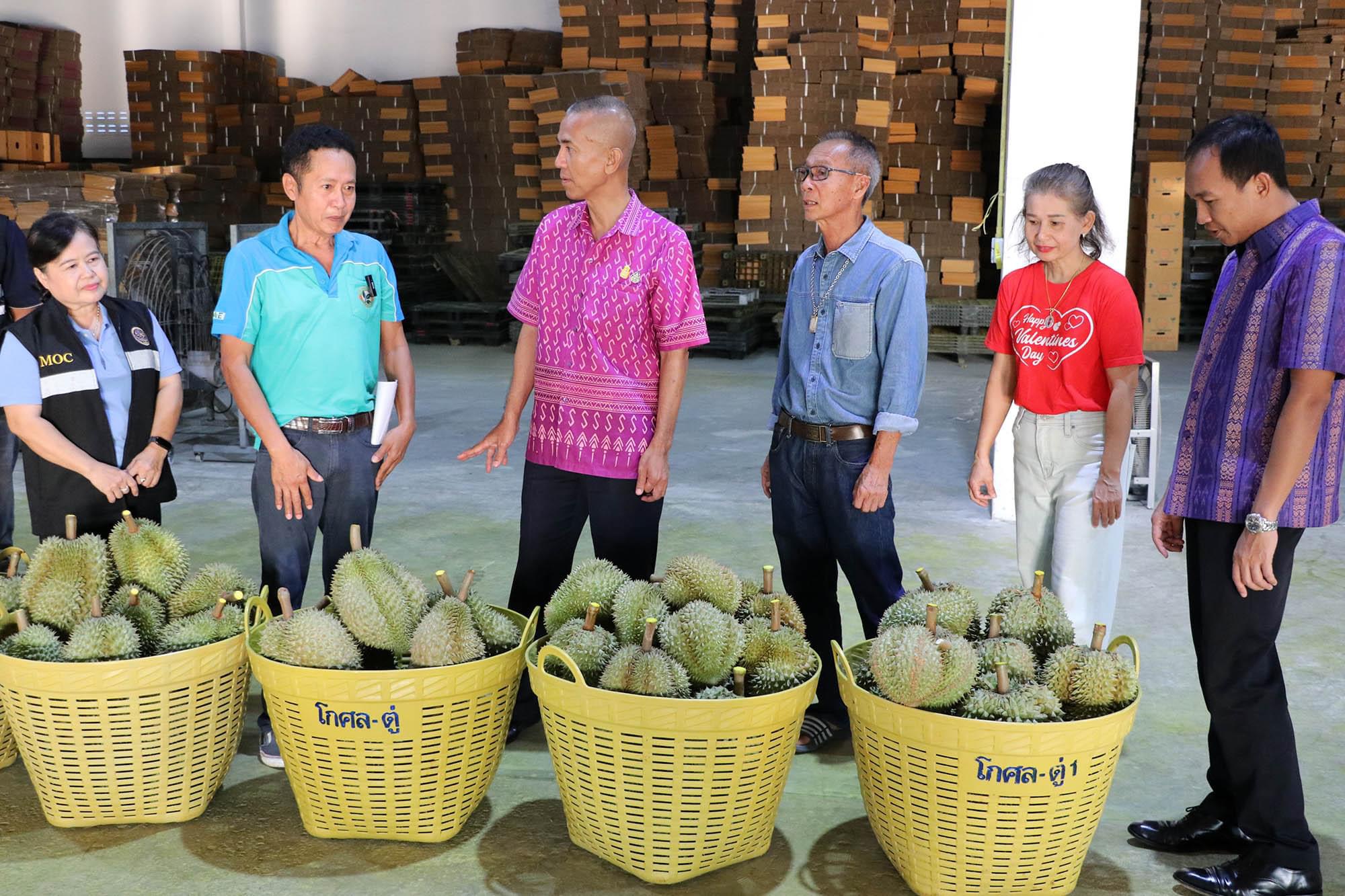 ผู้ว่าฯ  นำคณะออกตรวจเยี่ยมล้งทุเรียน สร้างความมั่นใจในมาตรฐานการคัดคุณภาพทุเรียนตราด
