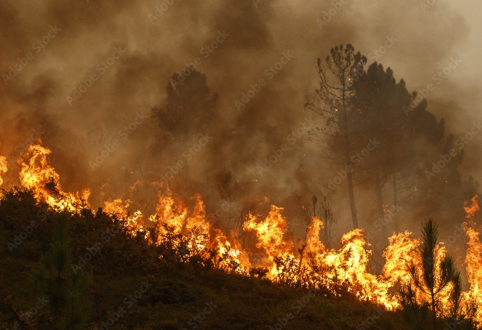 แก้ปัญหาฝุ่น PM 2.5 อย่ามองข้ามปัจจัยจากธรรมชาติและจัดสรรงบประมาณสนับสนุน