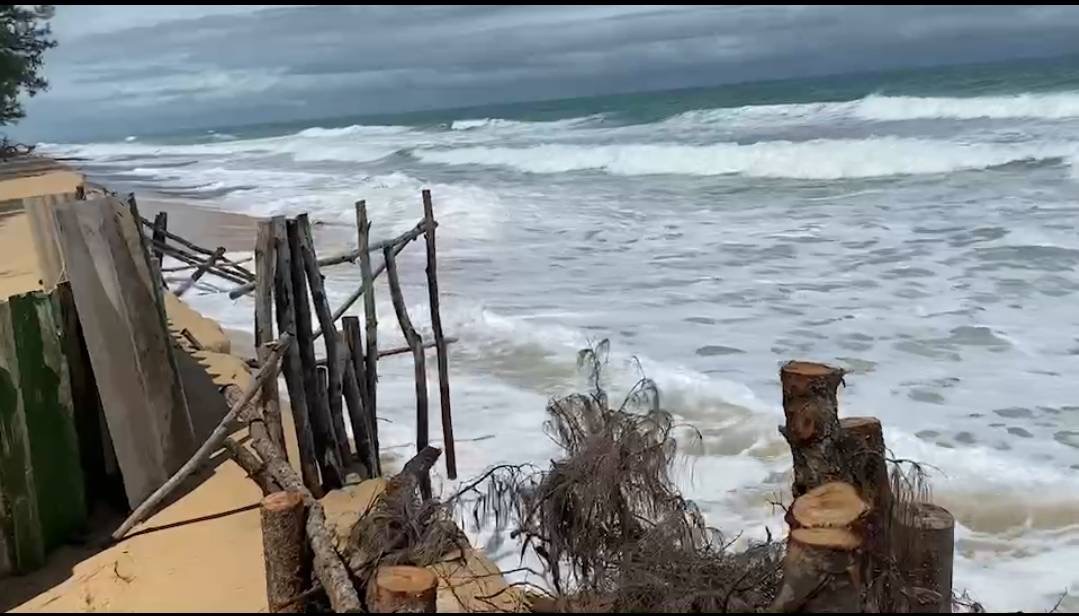 อุทยานแห่งชาติเขาลำปี-หาดท้ายเหมือง สำรวจผลการฟักไข่ของเต่าทะเล หวั่นรับผลกระทบจากคลื่นลม ฝนตกหนัก