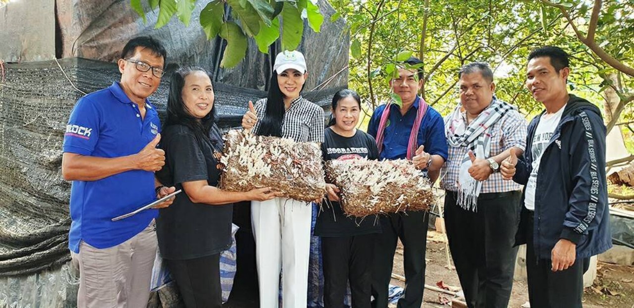 "ฟาร์มสุขใจ" จับมือกับ "หมู่บ้านเห็ด" เตรียมส่งเสริมการเพาะเห็ดโคนน้อย สร้างรายได้เกษตรกร 