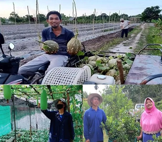 ปรัชญาเศรษฐกิจพอเพียง ทางเลือกที่เหมาะสมสังคมไทยในทุกวิกฤติ 