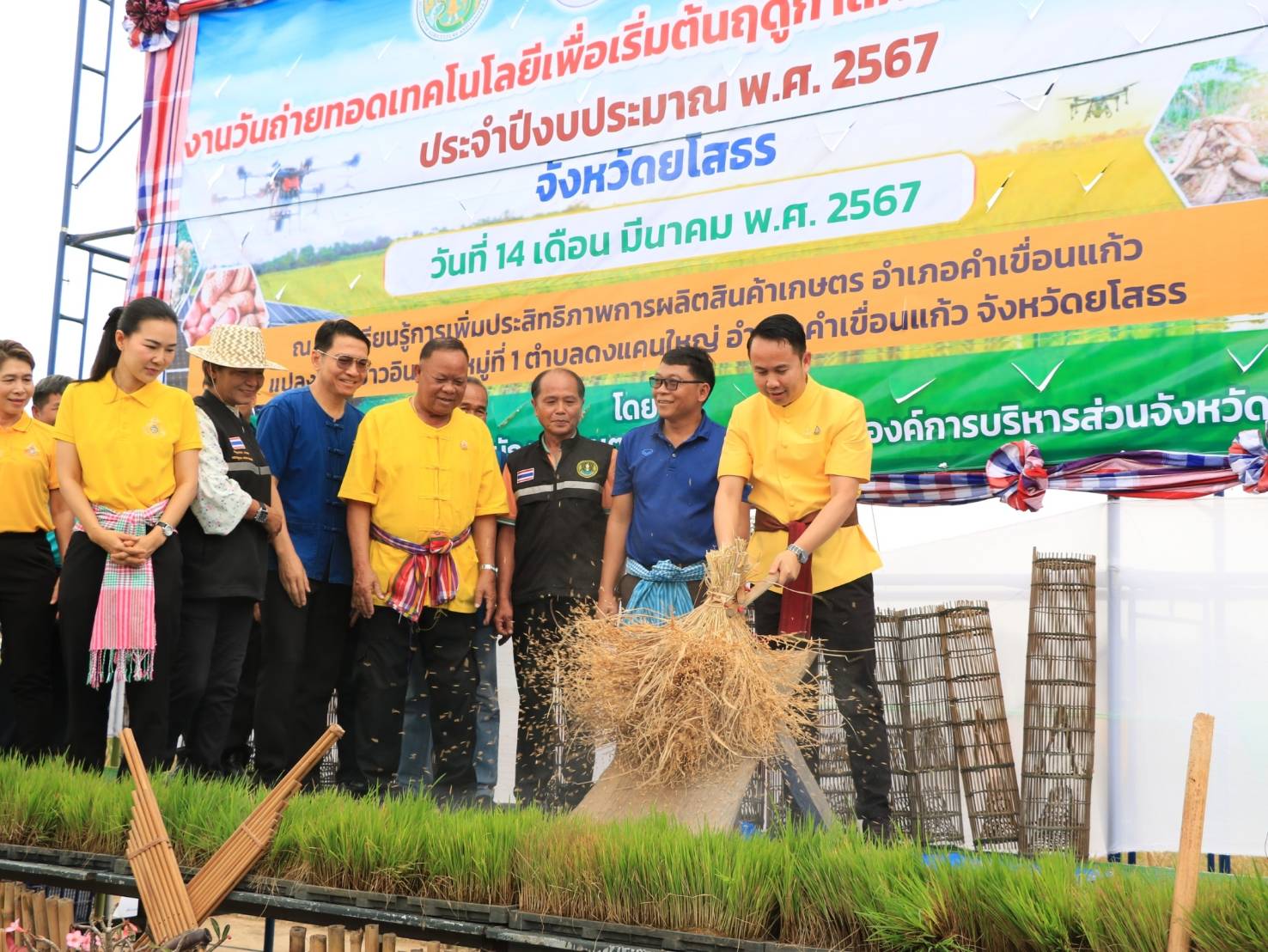 อบจ.ยโสธรจับมือเกษตรจังหวัด จัดกิจกรรมวัน Field Day ปี 67