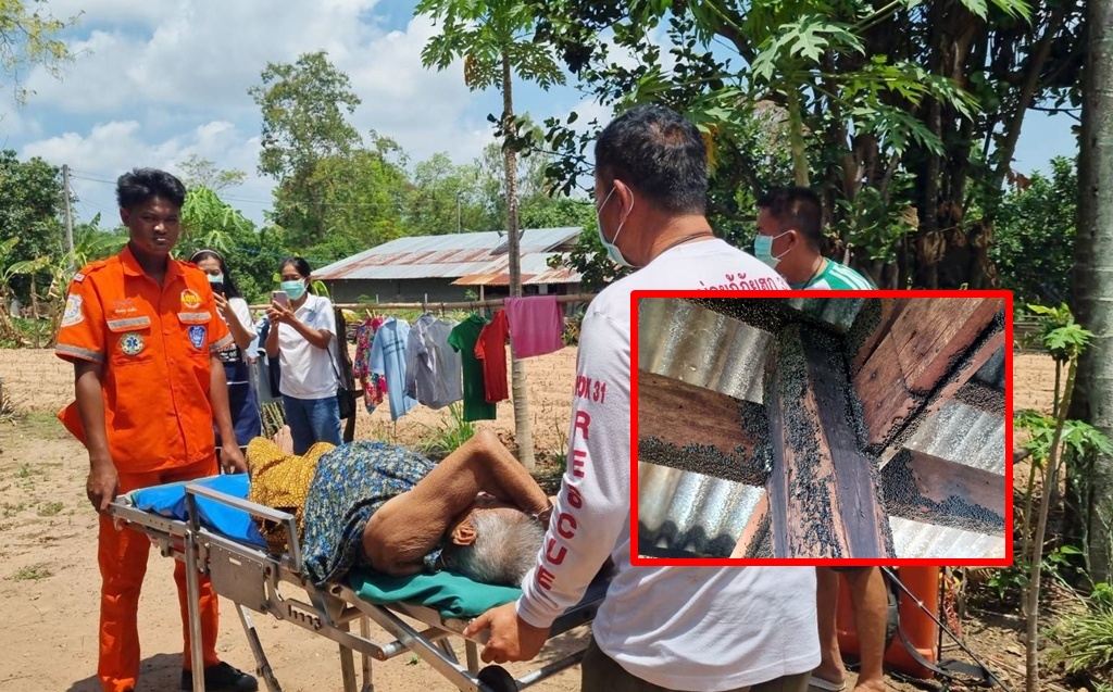 ยายป่วยติดเตียงวัย 95 ปี สุดทน! แมลงปีกแข็งบุกบ้าน 5 ปี นอภ.-กู้ภัยฯ เร่งช่วย