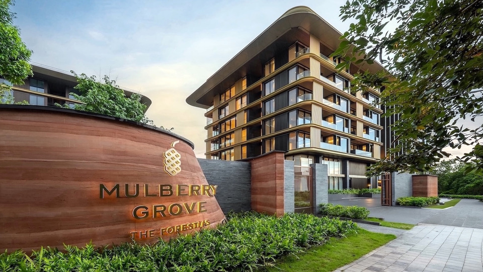 MQDC เปิดตัว Mulberry Grove The Forestias คอนโดซูเปอร์ลักชัวรี รองรับทุกเจเนอเรชัน พร้อมเข้าอยู่