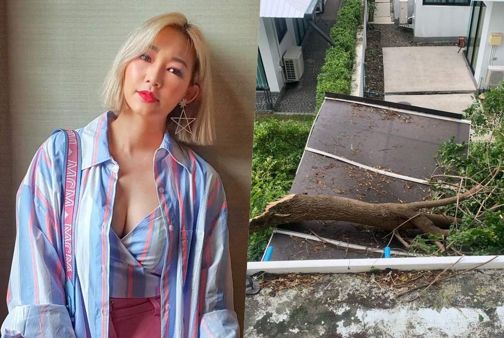 'หญิง ไรวินท์' เปิดภาพนาทีระทึกลมซัดต้นไม้หักโค่นใส่บ้าน