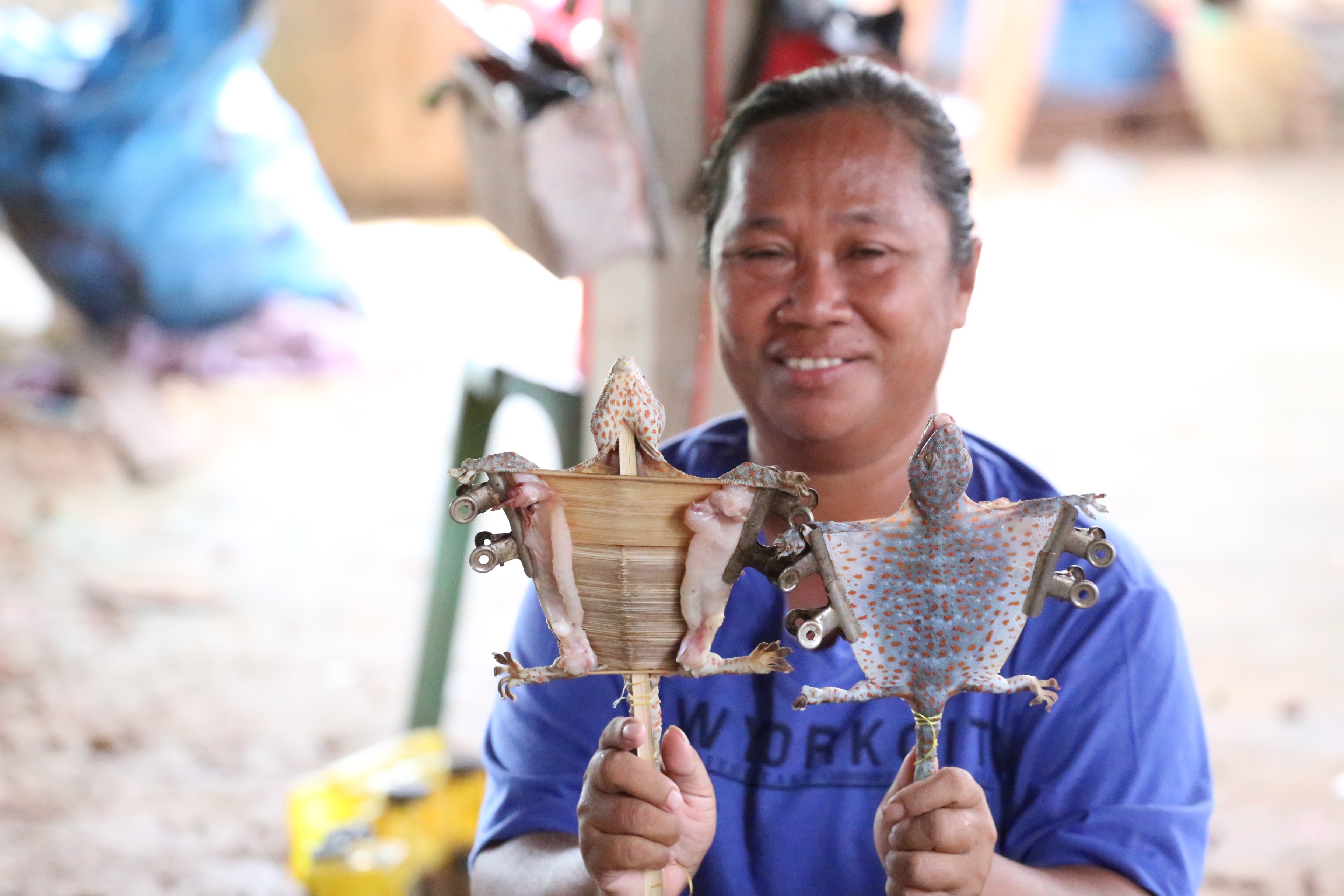 ท้าเปิบพิศดาร "ผัดเผ็ดตุ๊กแก" การันตีความแซ่บ เป็นยาสมุนไพรโบราณชูกำลัง 