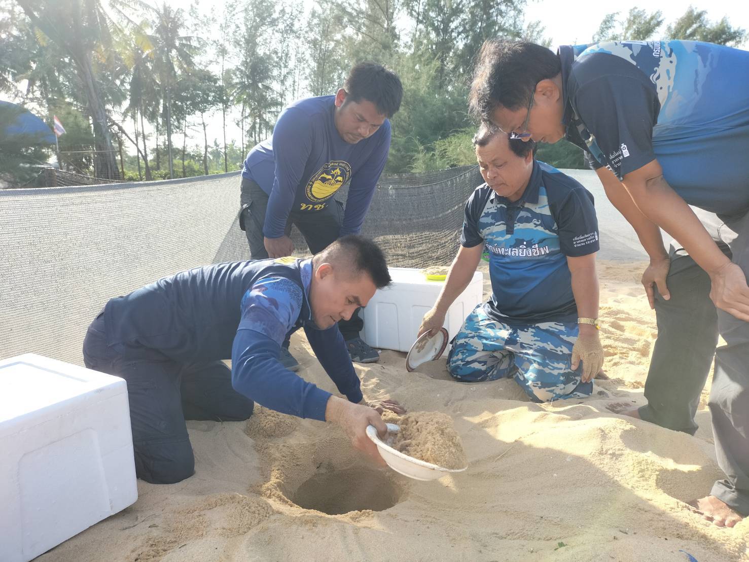 รับปีกระต่าย.. แม่​เต่า​มะเฟือง​(อัลฟ่า)​ขึ้น​วางไข่​ 131 ฟอง​ เป็นรัง​ที่​ 6  ของฤดูกาล​  
