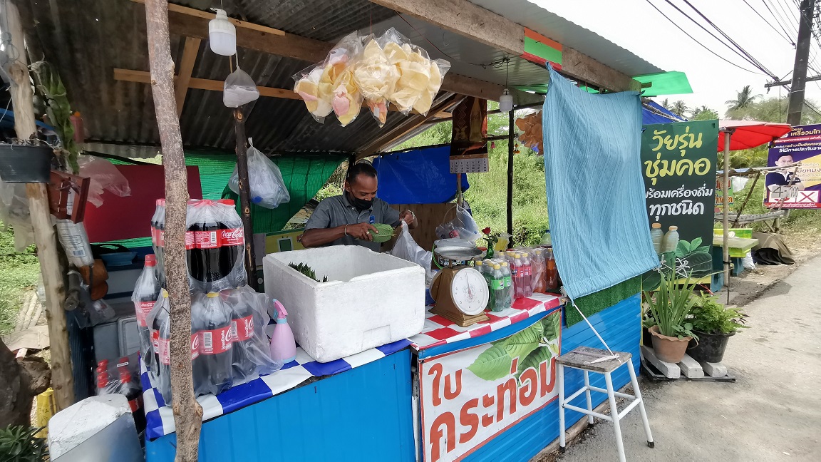 หนุ่มทับสะแกไอเดียเจ๋งเปิดร้าน “ลุงตู่ขายท่อม”ช่วงเลือกตั้งช่วยขายได้มากขึ้น
