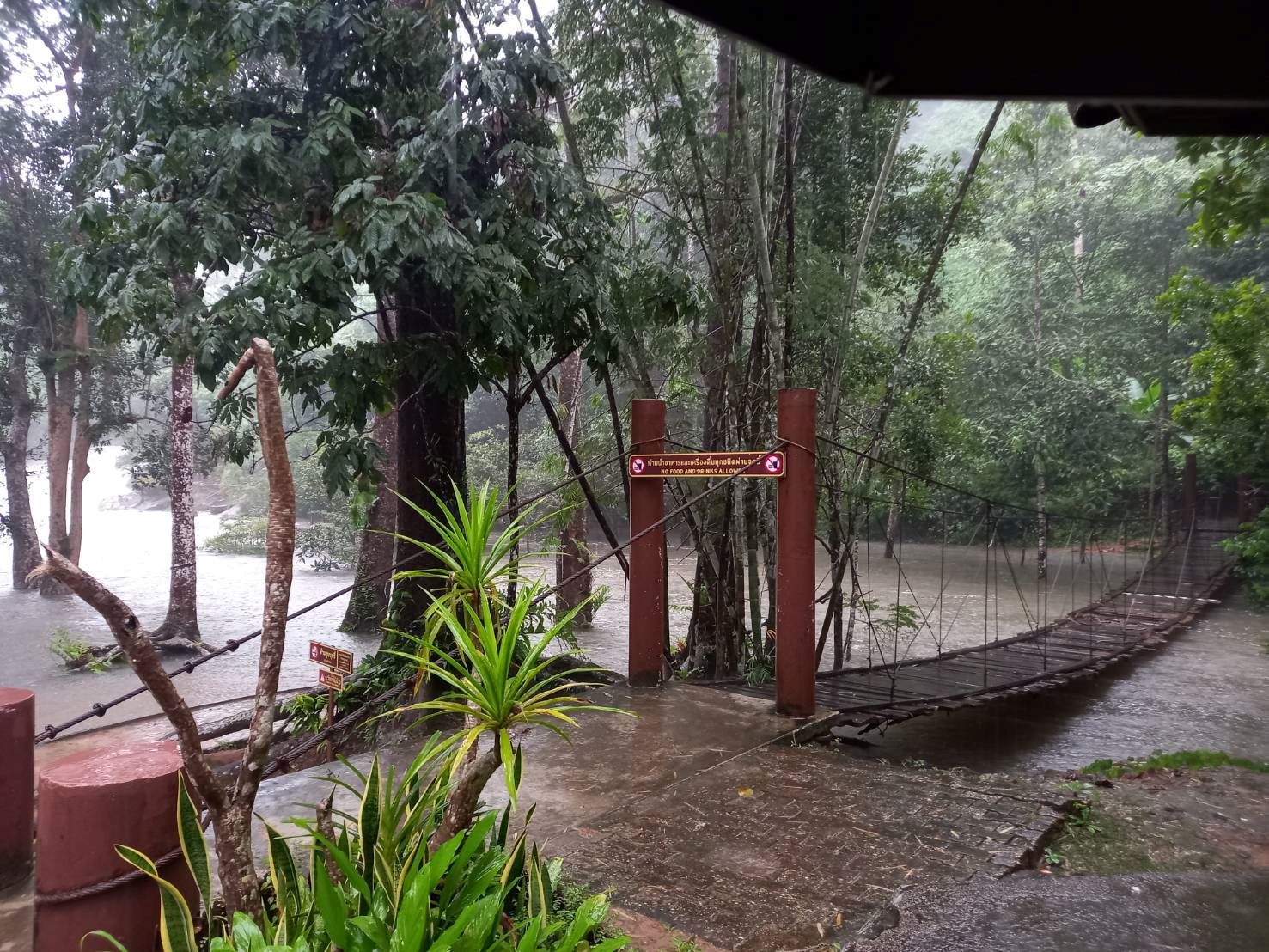 นครพนมสั่งปิด'อุทยานภูลังกา'งดเที่ยวน้ำตก-ถ้ำนาคีชั่วคราวหลังฝนตกหนักน้ำป่าทะลัก