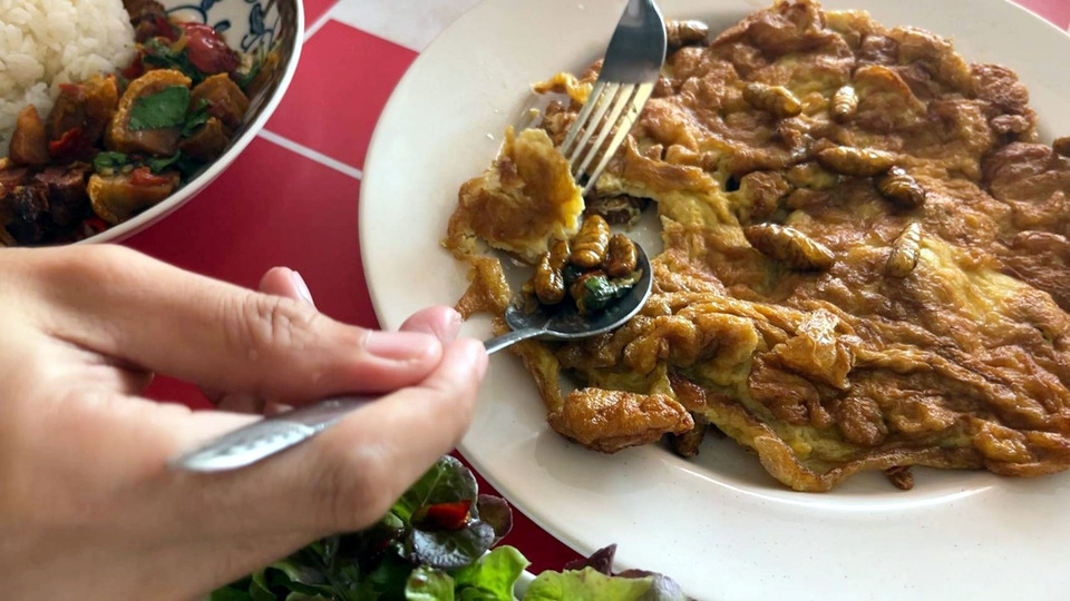 เปิดเมนูแซ่บ “ผัดฉ่าดักแด้-ไข่เจียวดักแด้” โปรตีนพื้นบ้านสไตล์อีสาน