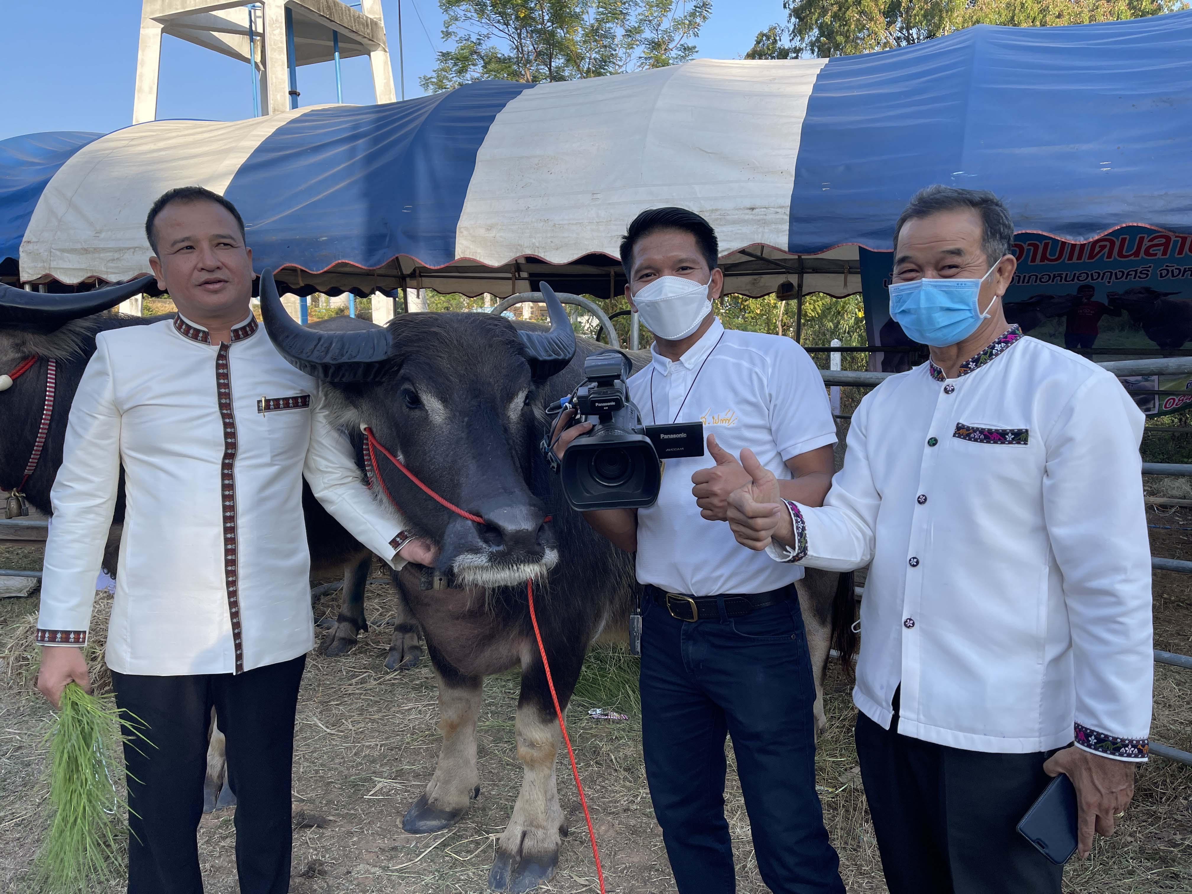 กาฬสินธุ์พร้อมจัดประกวดควายเมืองน้ำดำครั้งที่ 1