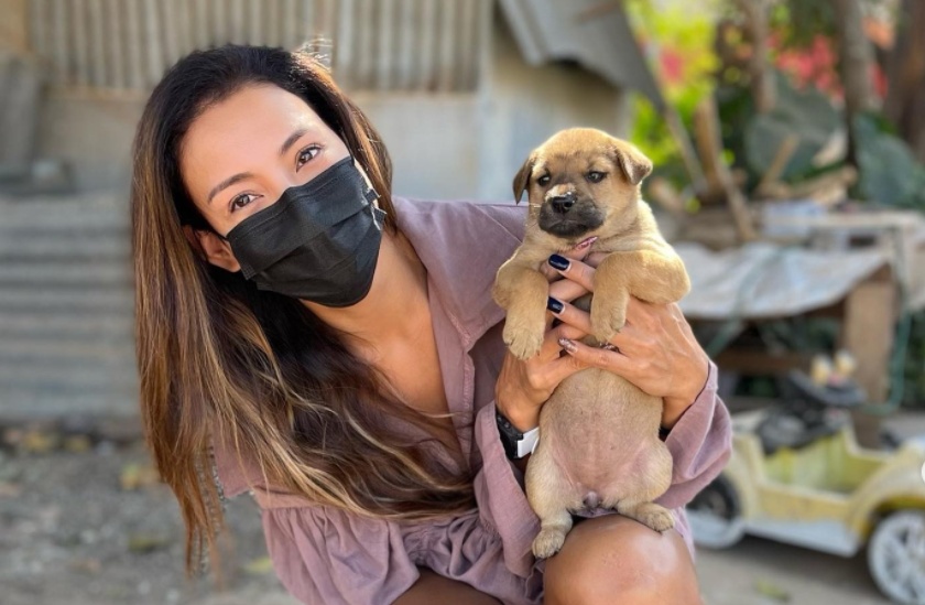 'โย ยศวดี' อัพเดตน้องหมาแม่ลูกถูกทิ้ง มีอาการอาเจียน ต้องอยู่โรงพยาบาล