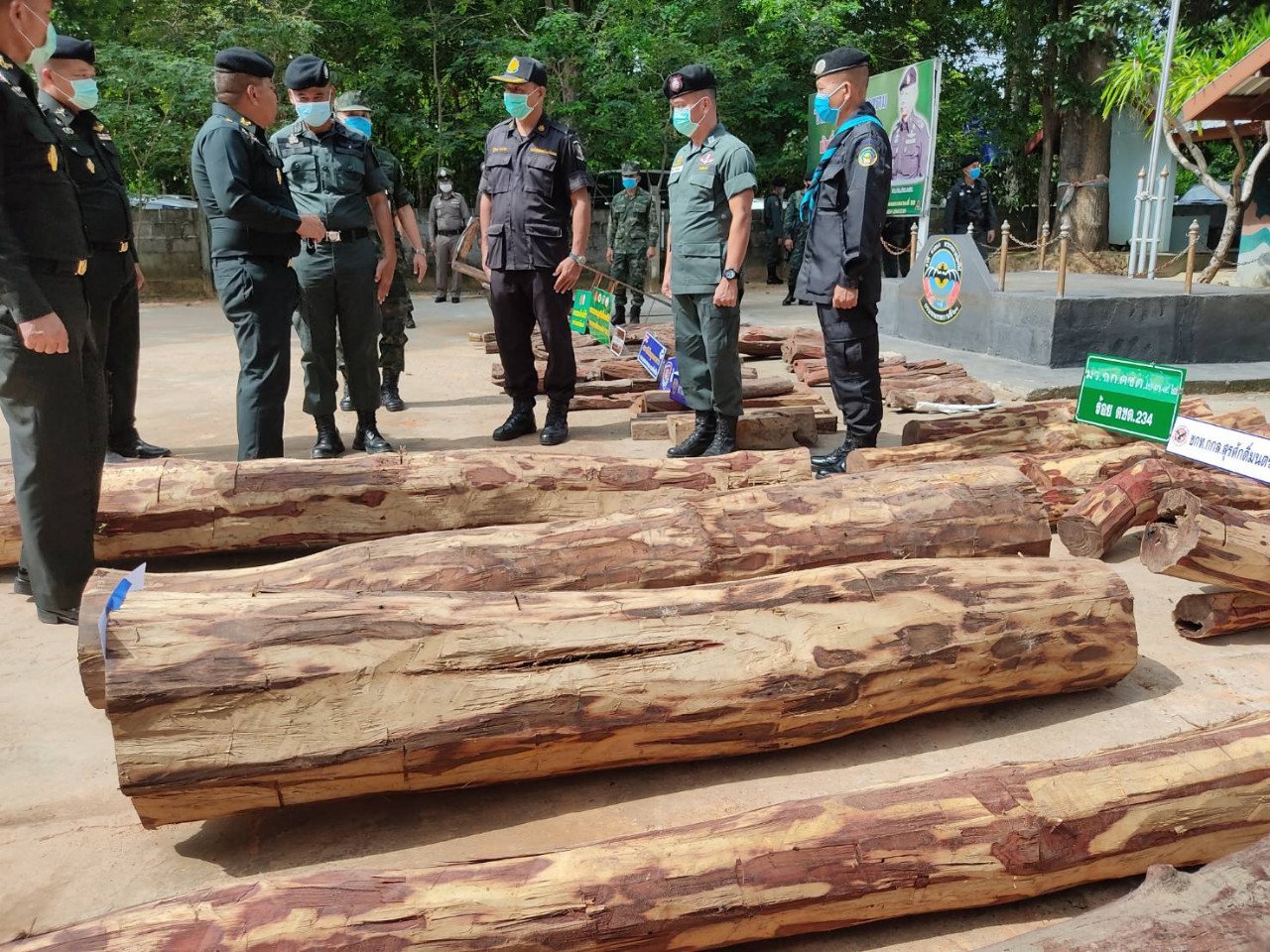 ผบ.กองกำลังสุรศักดิ์มนตรีแถลงข่าวตรวจยึดไม้พะยูง มูลค่ากว่า 1,590,000 บาท          