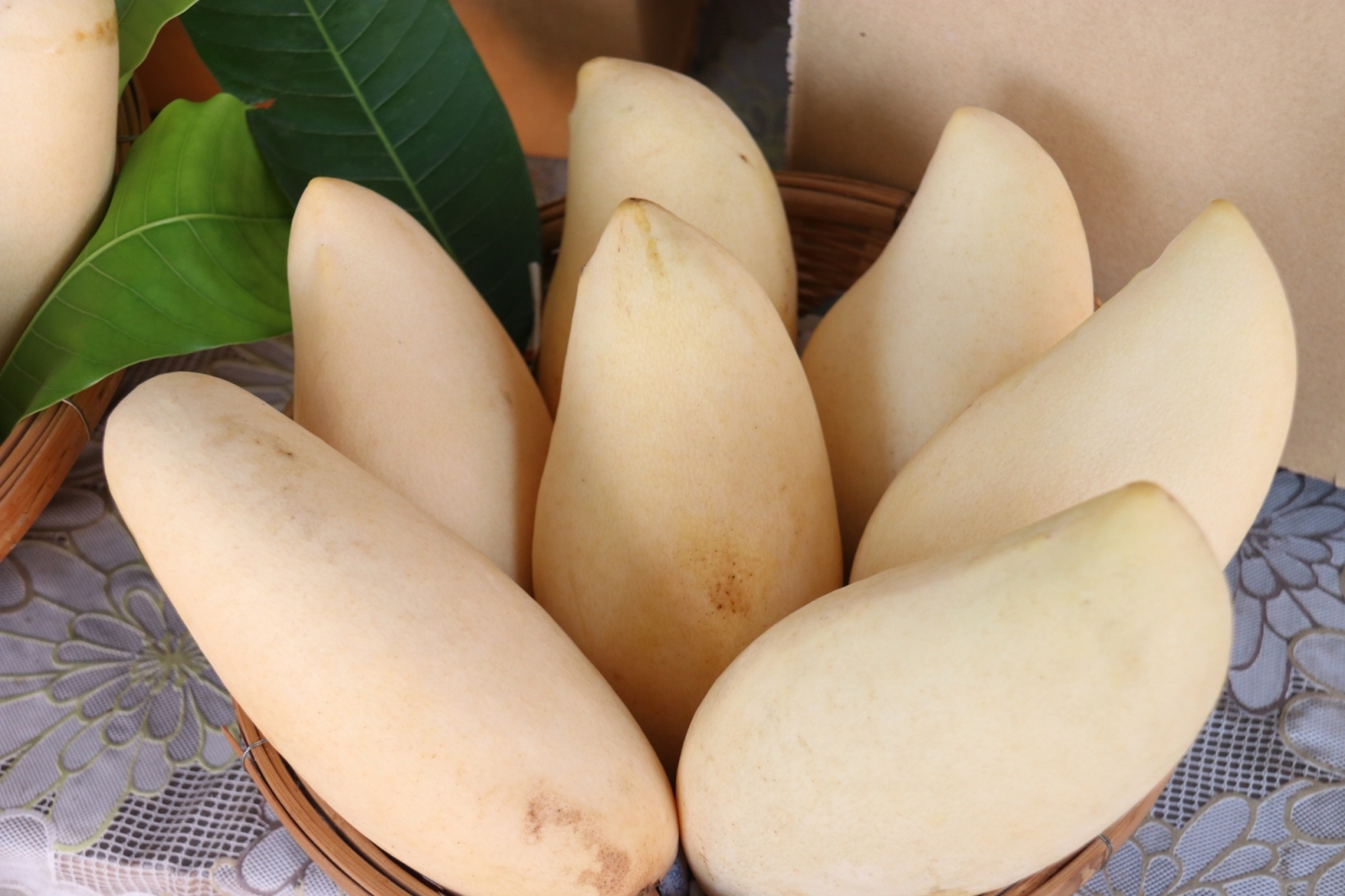 สหกรณ์บุรีรัมย์ ช่วยเหลือกระจายมะม่วงน้ำดอกไม้สีทอง จากสหกรณ์ชัยภูมิ ที่ได้รับผลกระทบโควิด