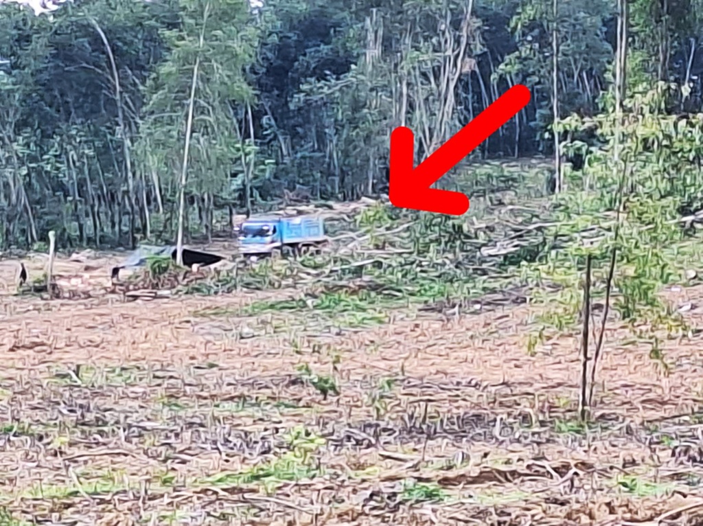 ชาวบ้านผวา! นายทุนเขมรตัดไม้ป่าสงวนข้ามเขต วอนรัฐเข้าตรวจสอบทันที