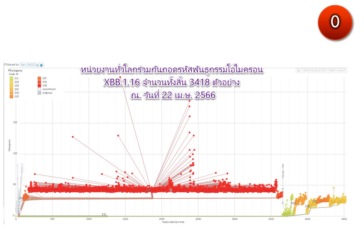 โอไมครอนลูกผสม XBB.1.16 จะตรวจจับกันอย่างไร? จะป้องกัน และรักษากันแบบไหน?