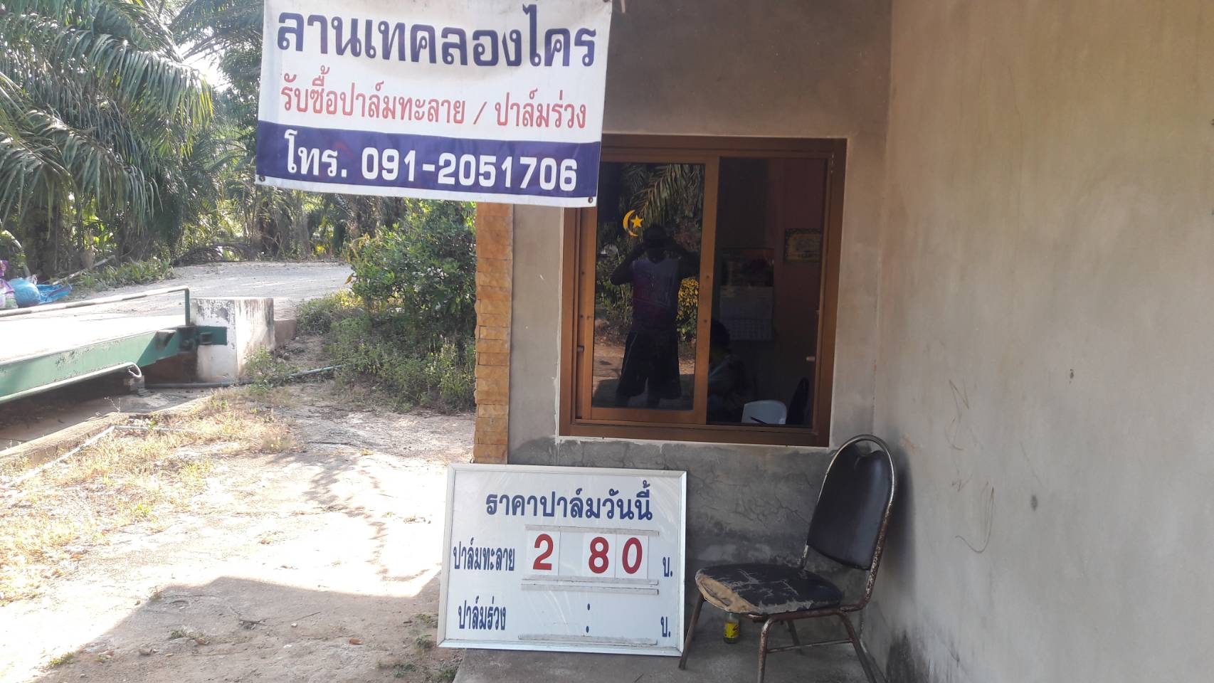 พิษโควิด-19 กระทบเกษตรกรชาวสวนปาล์มน้ำมัน โรงงานแจ้งปรับราคาลงทุกวัน เหลือ กก.ละ 2.80 บาท 