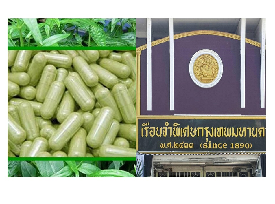เรือนจำพิเศษกรุงเทพรับมอบยาฟ้าทะลายโจรช่วยผู้ป่วยโควิดจากม.รังสิต