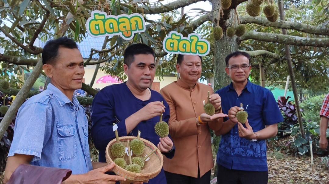 ผู้ว่าฯศรีสะเกษตัดใจตัดลูกทุเรียนภูเขาไฟเพื่อเพิ่มมูลค่าสร้างรายได้สู่ชุมชน