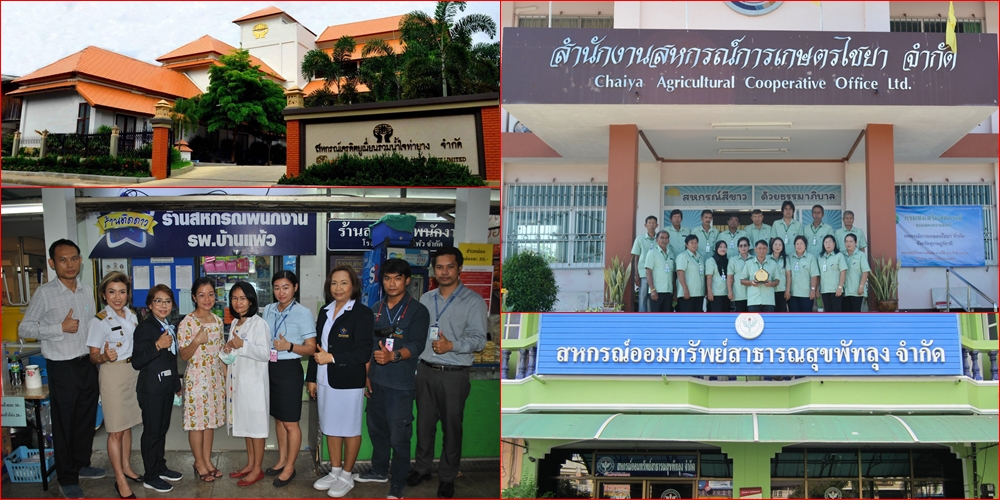 วัน "พืชมงคล" กับรางวัลพระราชทานปี 2564 อีกความภูมิใจสมาชิกสหกรณ์ดีเด่นแห่งชาติ
